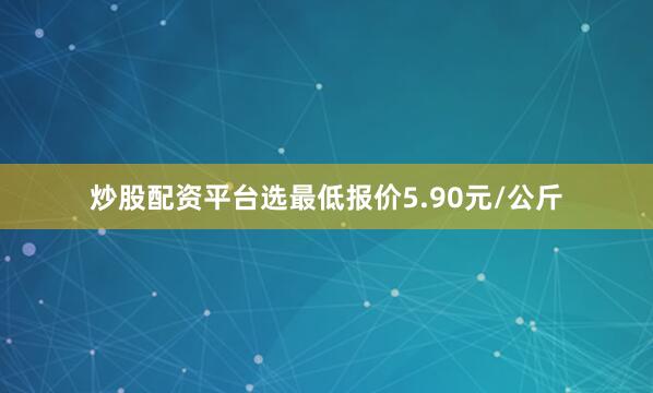 炒股配资平台选最低报价5.90元/公斤