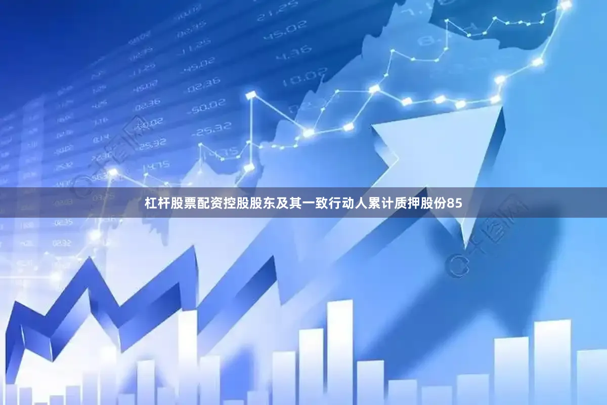 杠杆股票配资控股股东及其一致行动人累计质押股份85